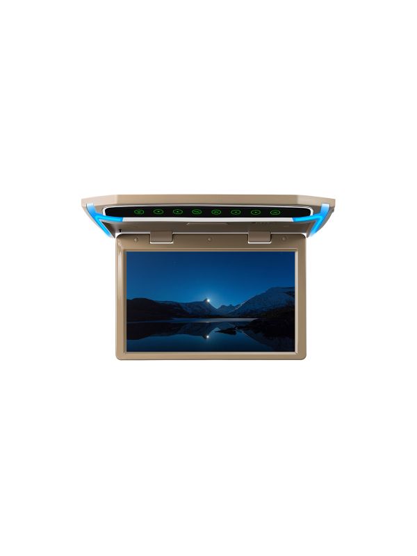 10.2-inch | Car Roof Mounted Monitor | CM101HD_C