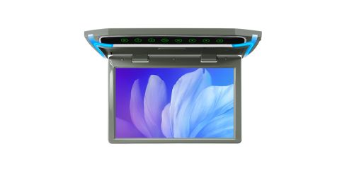 10.2-inch | Car Roof Mounted Monitor | CM101HD_G