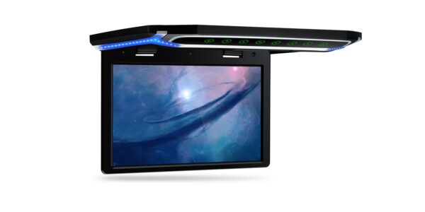 10.2-inch | Car Roof Mounted Monitor | CM101HD